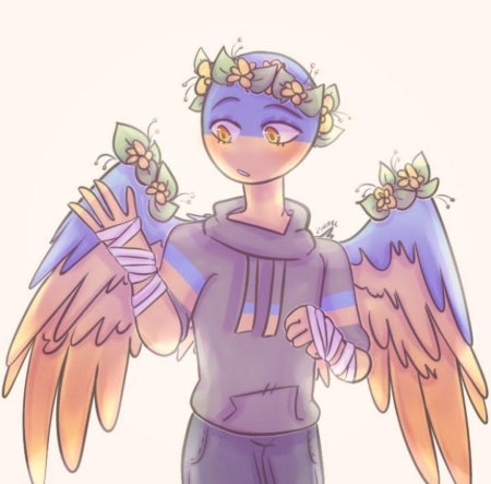 Кантри хуманс украина