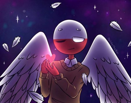 Польша кантрихуманс