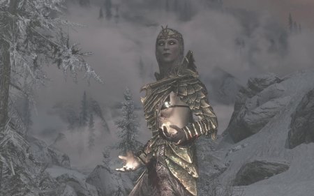 Скайрим броня снежных эльфов