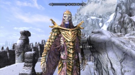 Скайрим броня драконьего жреца