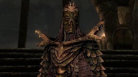 Скайрим броня драконьего жреца