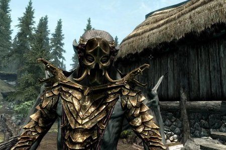 Скайрим броня конарика