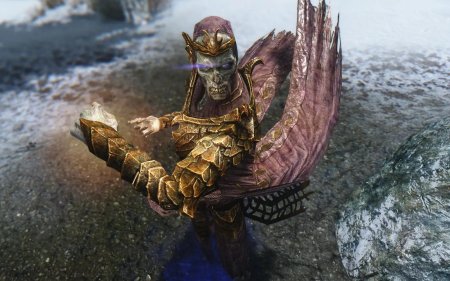 Драконий жрец скайрим