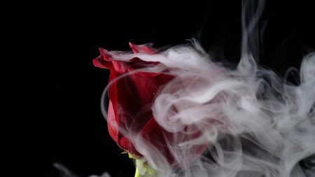 Дым красивый