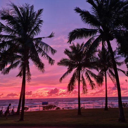 Закат пальмы