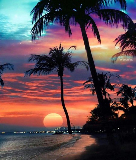 Красивые пейзажи с пальмами