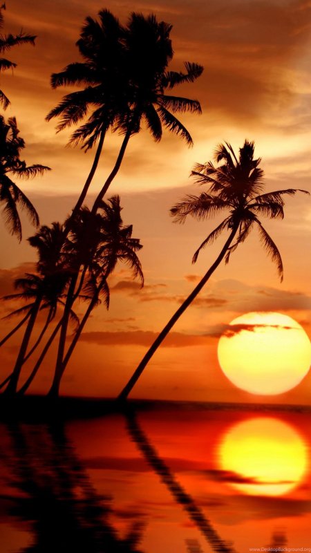 Тропические закаты