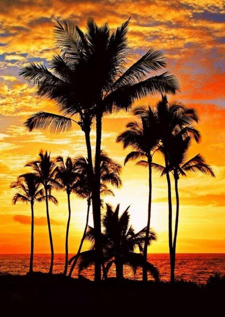 Hawaii sunset