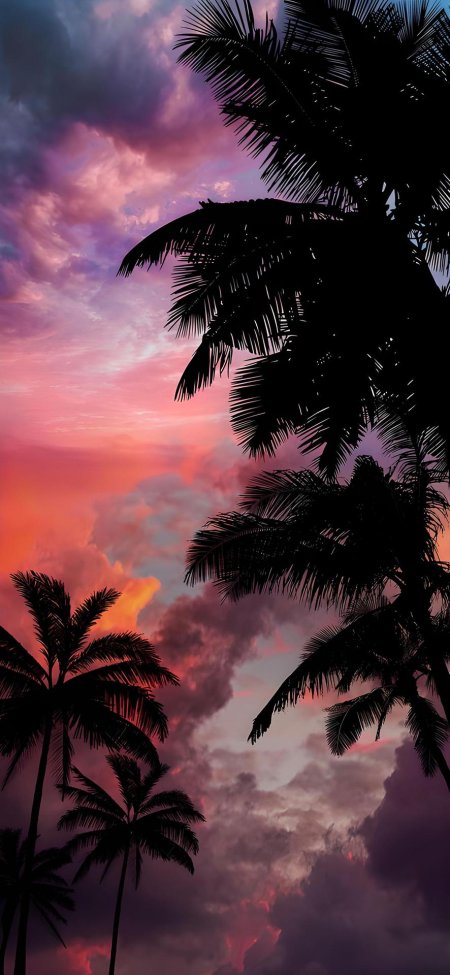 Тропические пейзажи