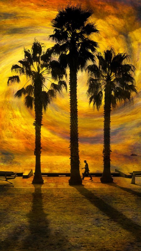 Майами пальмы