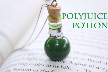 Polyjuice potion гарри поттер