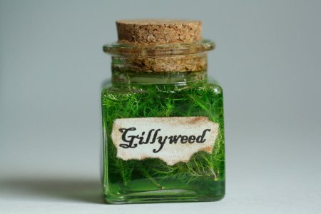 Зелье гарри поттер