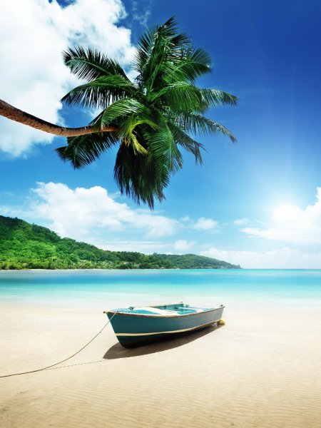 Тропическое море