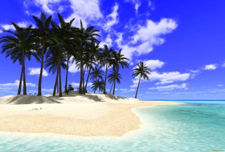 Остров с пальмами