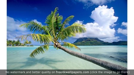 Тропический остров бора