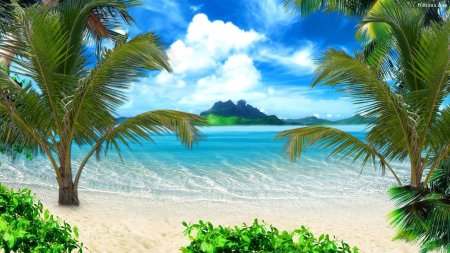 Пальмы пляж