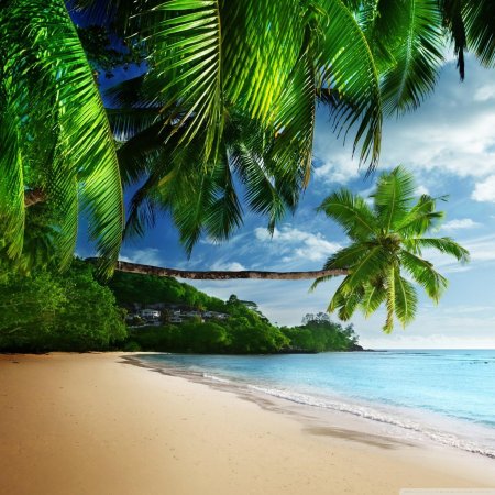 Пляж тропический