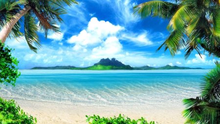 Пляж море пальмы