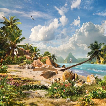 Тропические пейзажи