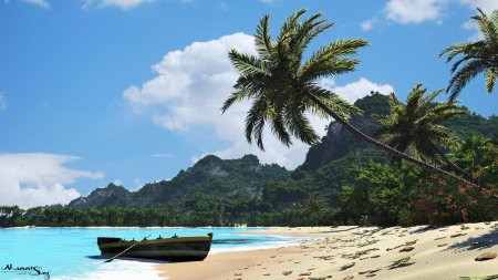 Море пляж пальма