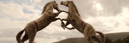 Вейс дотрак игра престолов