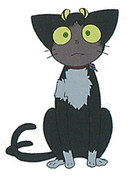 Синий экзорцист кот черныш