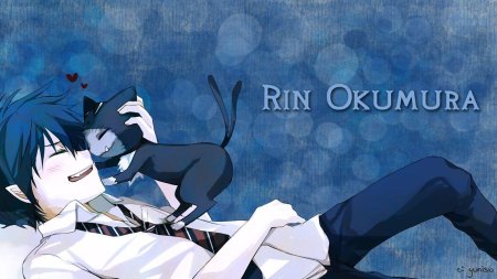 Синий экзорцист путешествие куро