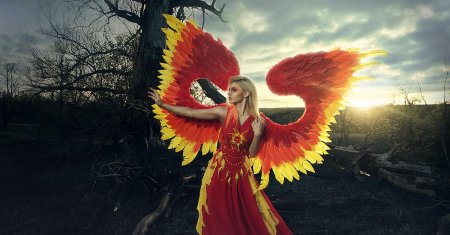 Жар птица девушка