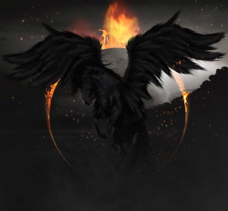 Пегас мифическое существо