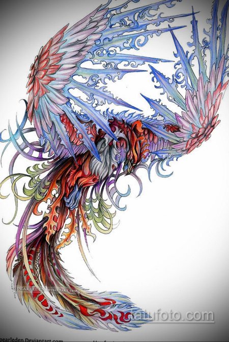 Феникс эскизы тату цветные