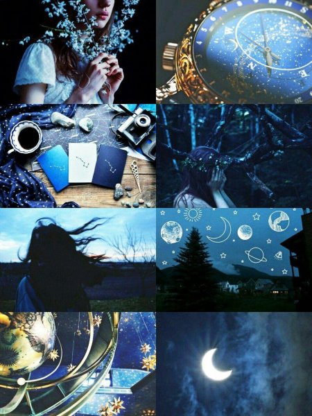 Когтевран эстетика