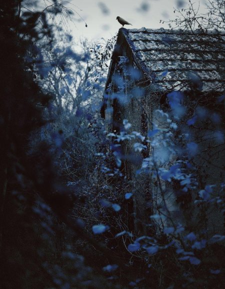 Мрачный дом в лесу