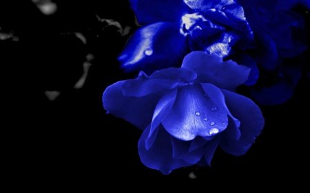 Синего цвета