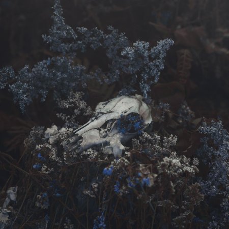 Эстетика мрачная