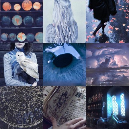 Когтевран эстетика