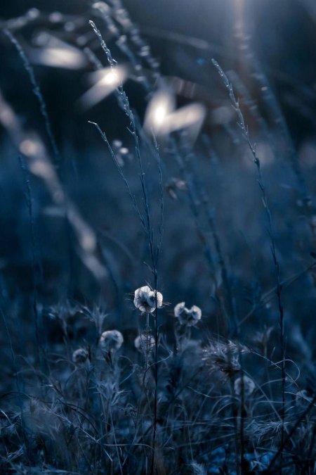 Серо голубая эстетика