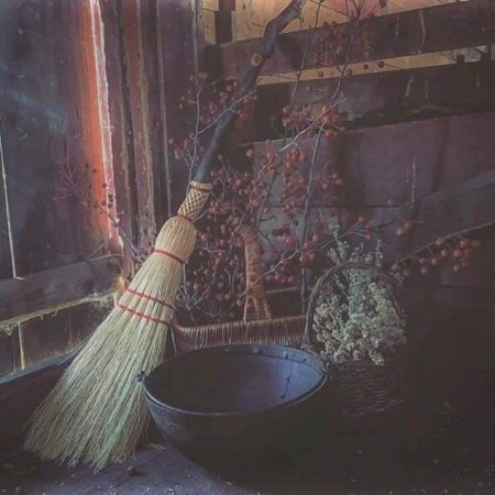 Веник метла