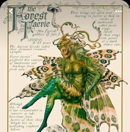 Хроники спайдервика феи