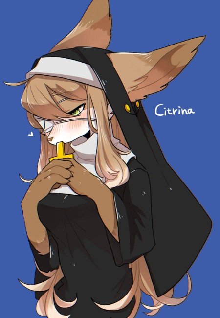 Фурри монахиня