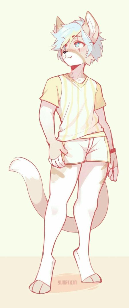 Фурри белый кот парень