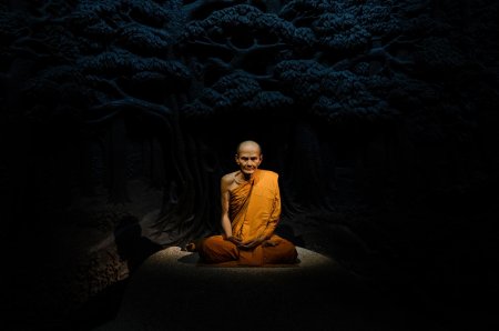 Буддизм монах аскет