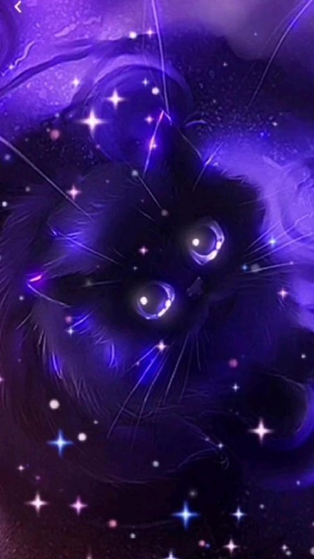 Кот с фиолетовыми глазами