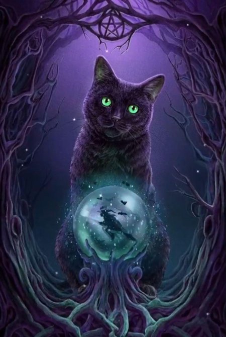 Мистические коты