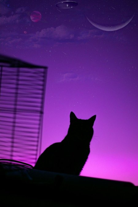 Фиолетовая фон