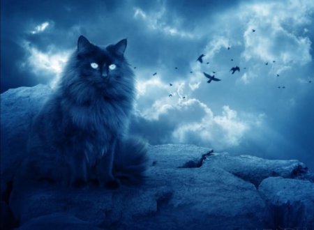 Мистические коты