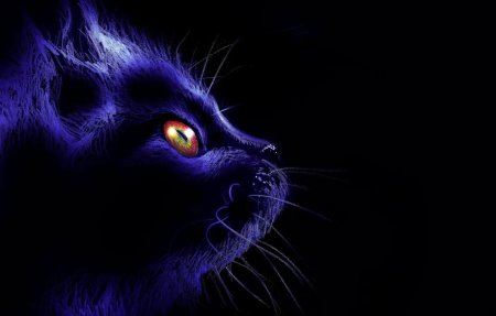 Неоновая кошка