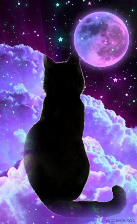 На фоне луны