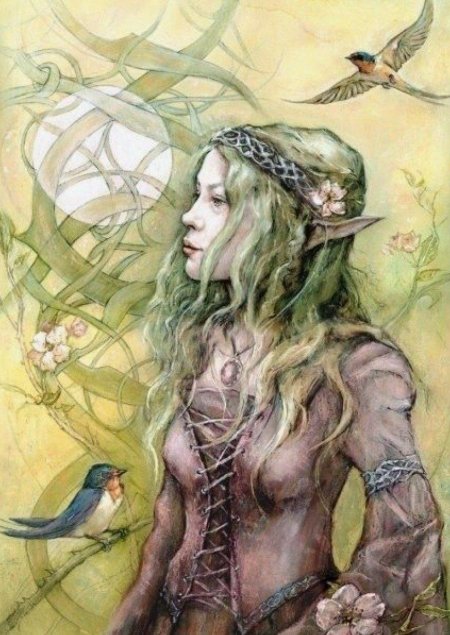 Фейри кельты