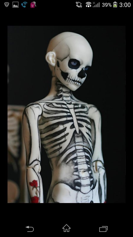 Хэллоуин скелет