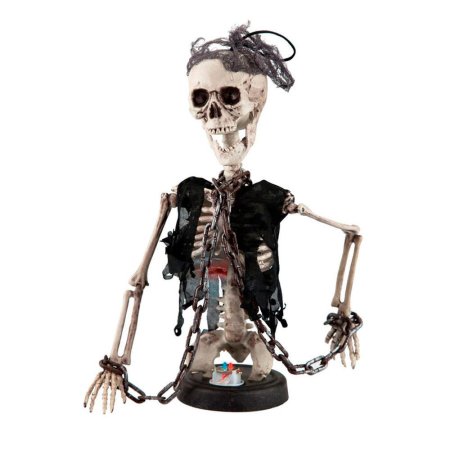 Человеческий скелет